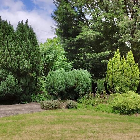 The Annex Roundaway Lodge Okehampton Buitenkant foto